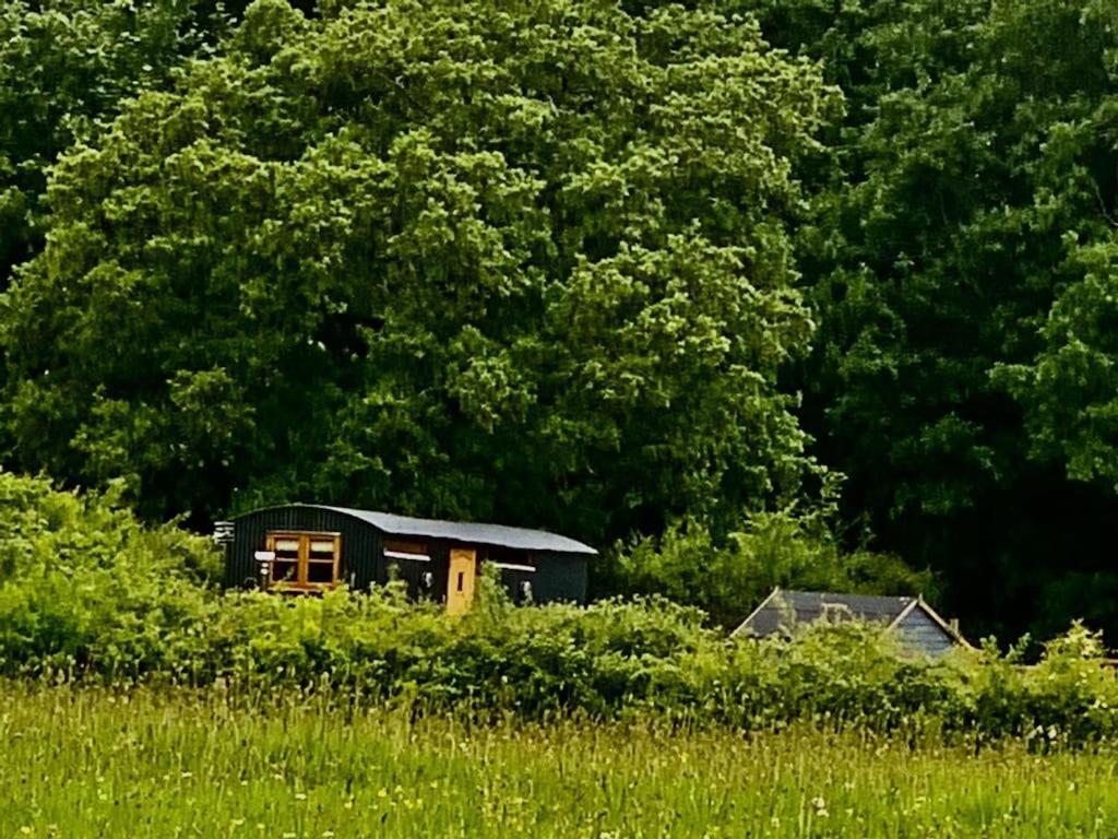 Shepherds Hut With Scandinavian Hot Tub And Hydromassager Sway Zewnętrze zdjęcie